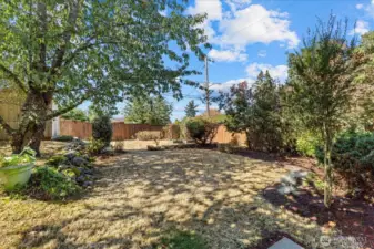 There is a large storage shed in the back on the left.  Quite an oasis this yard!