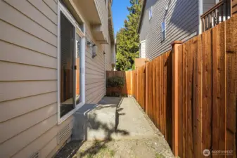 Back Patio