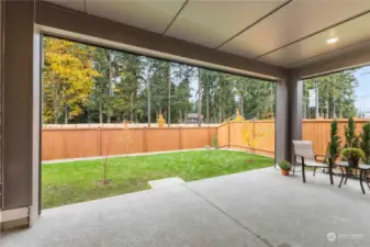 Large patio with automatic roller shades for privacy and shade control