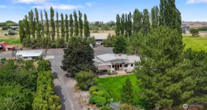Great windbreaks surround this beautiful property.