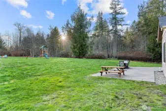 A peek of the backyard