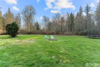 View from the patio to your 2.5+ acre property