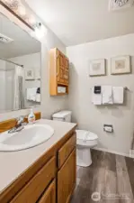 Full bathroom with plenty of counter space