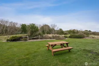 Backyard area perfect for pets, kids or picnics