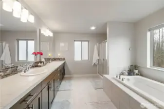 Large primary en suite with large double vanity, soaking tub separate shower