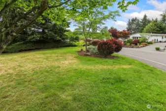 Wandering Creek Community Common area:  greenbelt across the street from the home