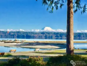 Rainier from North Beach over spit.  Olympics can be viewed from this same spot.