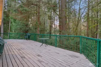 Large deck, length of house w/peek-a-boo views of Case Inlet.