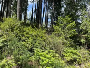 From the front of the property.