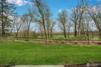 Looking towards the river.