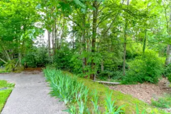 There is a small walking trail leading to a large Field for the kids and dogs  to play