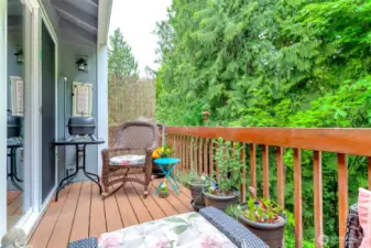 The Private balcony has plenty of space for lounging or to barbecue.