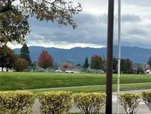 View from front of house