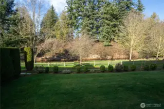 The level backyard is great for outdoor entertaining.