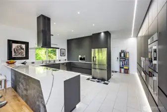 High-end appliances, quartz counters, Furturo Furturo venting system, special floor & ceiling lights and much more!