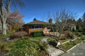 Pathway from sidewalk around raised beds, and a side terrace planting area provide a nice landscape canvas