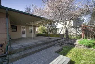 Covered patio and enough back yard for  green space use