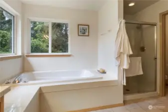 A REAL soaking tub! And a shower as well.
