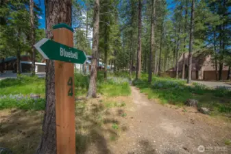 Community Trails