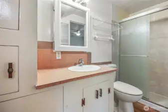Extra-large walk-in shower.