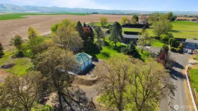 The beautifully treed property is a birdwatcher's paradise.
