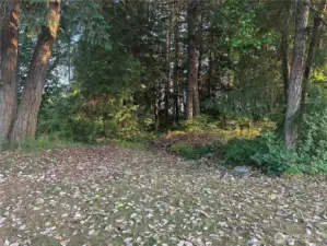 Back of property