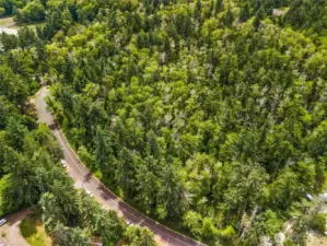 Aerial view of the 1.55 treed acres and the adjacent .39 acre parcel also available. Purchase together for a wonderful, nearly 2 acre home site.