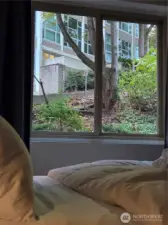 Master bedroom window view