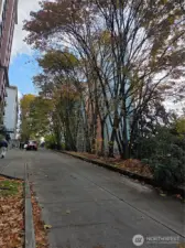Terry Ave