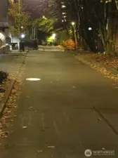 Terry Ave at night