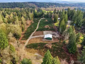 Looking North towards Bucoda