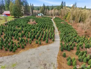 ROAD FROM REAR OF PROPERTY looking toward Shop and Gate