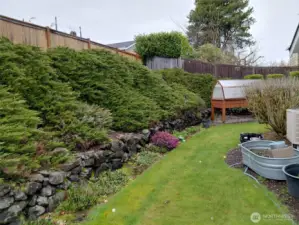Your back yard is private and cozy with lovely lines and mature landscaping.