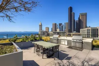 Host Summer parties and grill your own food!