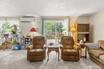 Light and bright living room