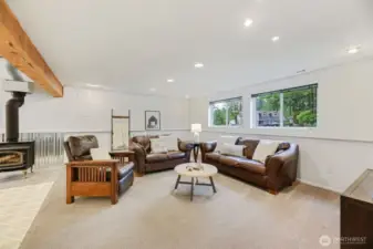 Downstairs rec room.