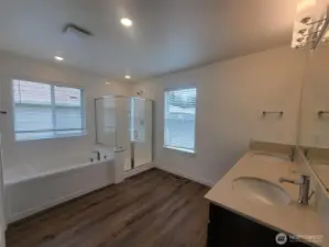 Primary bathroom