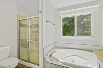 Primary bathroom