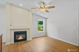 Propane fireplace