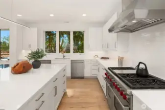 Chef's Kitchen w/SS Appliances, 2 Dishwashers & Walk In Pantry