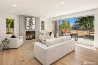 Wood Burning Fireplace
