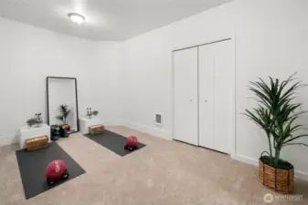 Finished bonus space on lower level.