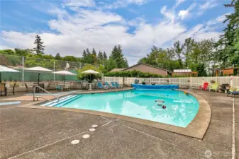 Community Pool