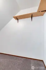 Living room walk-in closet.