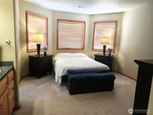 Spacious primary bedroom with views to Mount Baker, Fidalgo Bay etc. Walk-in closet and unique claw foot tub originally from historic Rosario resort on Orcas island