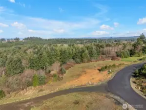 Ocean views may be possible, buyer to verify.