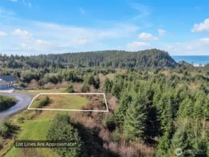 General lot lines applied to this image for reference.