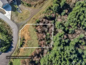 General lot lines applied to this image for reference.