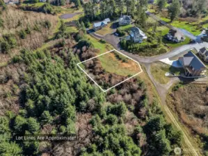 General lot lines applied to this image for reference.