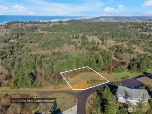 General lot lines applied to this image for reference.